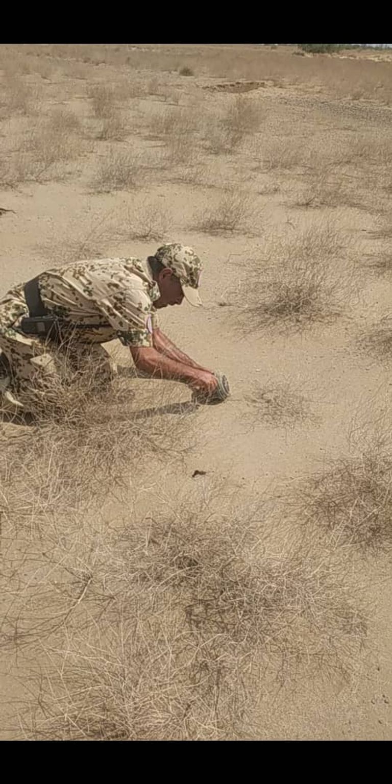 ألغام زرعتها مليشيات الحوثي الانقلابية غربي اليمن