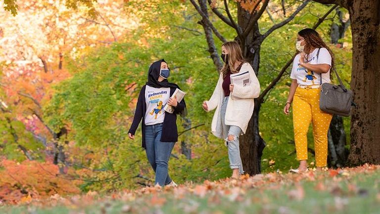 كورونا حول العالم