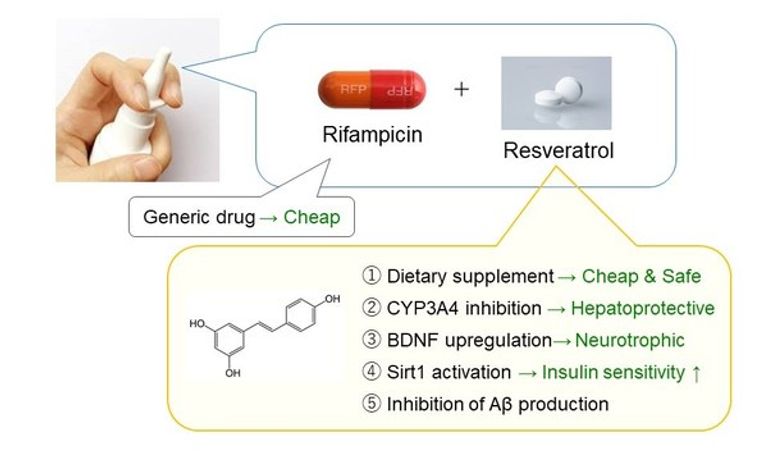 التوصل لعلاج جديد يقي من ألزهايمر - أرشيفية
