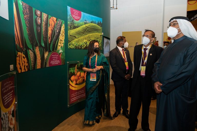 أندر وأثمن قطع الياقوت الأصفر الذهبي في العالم