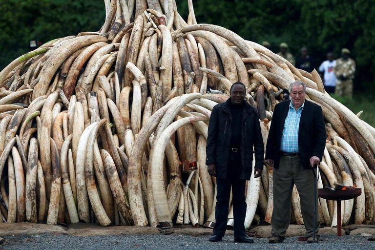 الكيني ريتشارد ليكي 