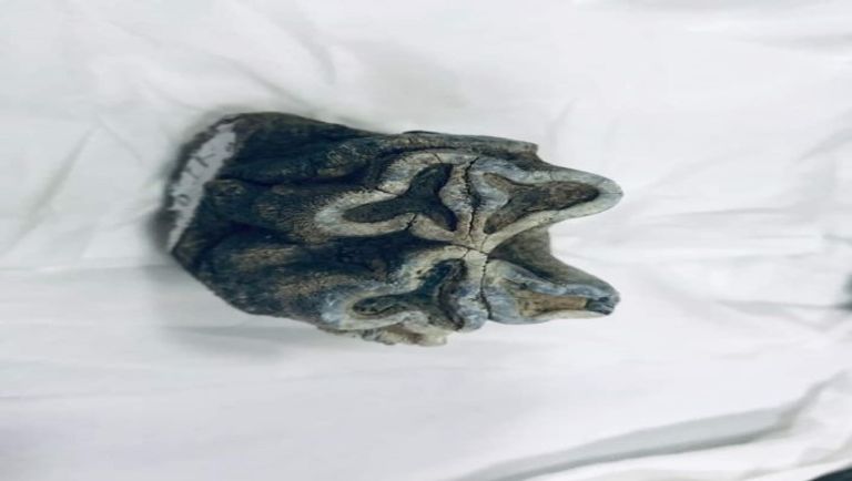 أدوات حجرية تعود إلى ما قبل 3 ملايين سنة