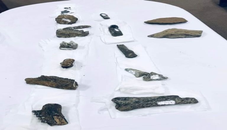 أدوات حجرية تعود إلى ما قبل 3 ملايين سنة