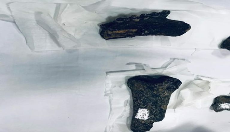 أدوات حجرية تعود إلى ما قبل 3 ملايين سنة