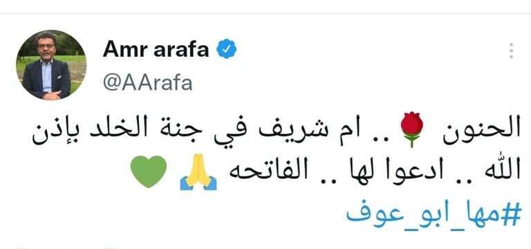 الفنانة مها أبوعوف