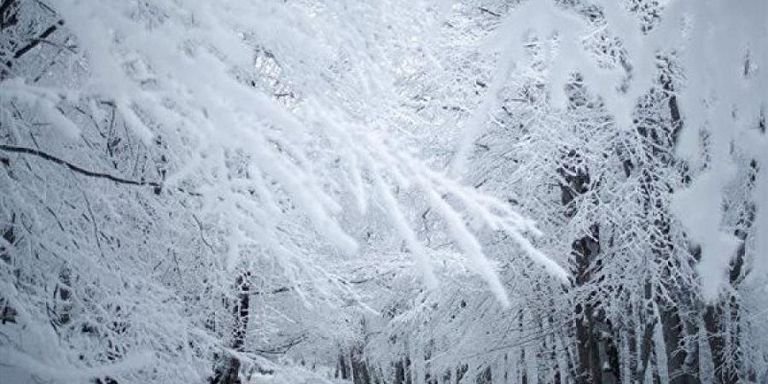 عاصفة ثلجية عنيفة تضرب روسيا وتعيق حركة الطيران