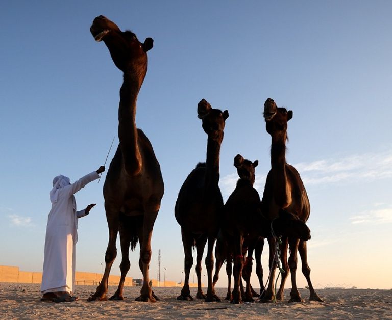 الظفرة .. وجهة إماراتية عالمية مفضلة للسياحة الصحراوية