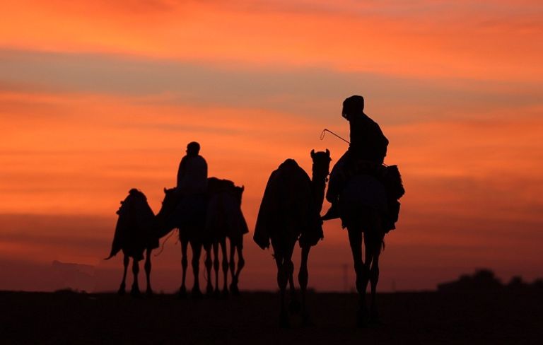 الظفرة .. وجهة إماراتية عالمية مفضلة للسياحة الصحراوية