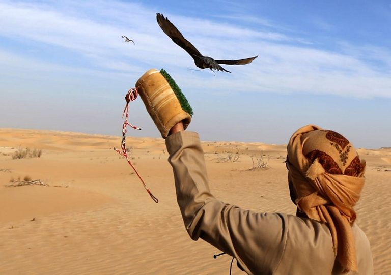 الظفرة .. وجهة إماراتية عالمية مفضلة للسياحة الصحراوية