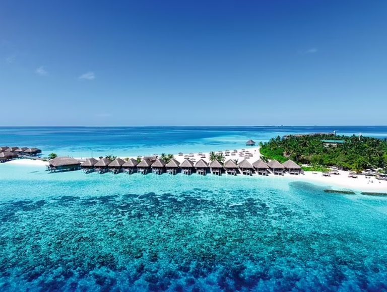 منتجع Constance Hotels & Resorts منتجع Fontainebleau Miami Beach