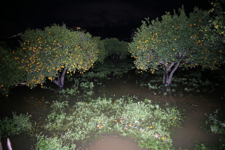 تداعيات الأمطار بإحدى مناطق الولاية التركية