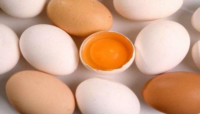 العلماء يراهنون على نجاح بيض الدجاج في مواجهة كورونا