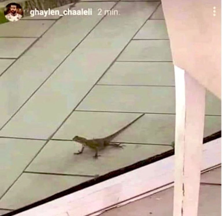 كأس أمم أفريقيا 