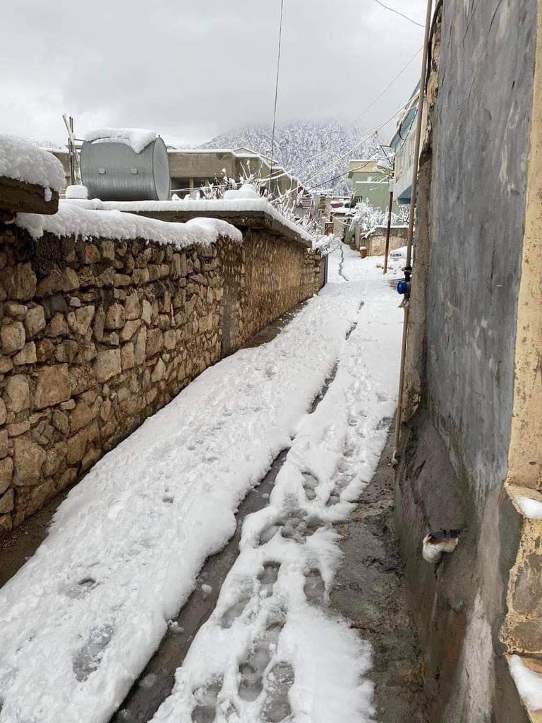 الثلوج تغطي مناطق العمادية في كردستان العراق