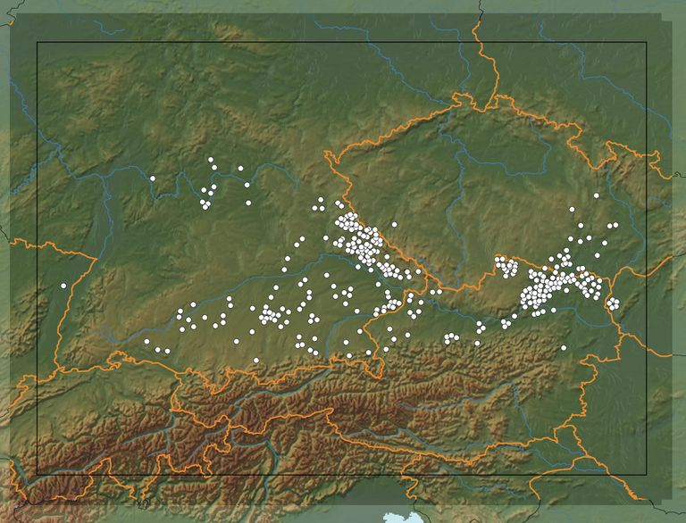 الممرات السرية لا تزال لغزا محيرا في ألمانيا