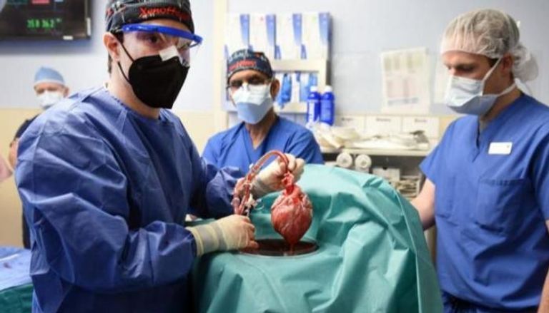 ديفيد بينيت مع أحد الأطباء بعد إجراء عملية نقل قلب الخنزير