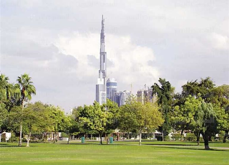 العمود الفقري للاستدامة.. ماذا تعرف عن الاقتصاد الأخضر؟