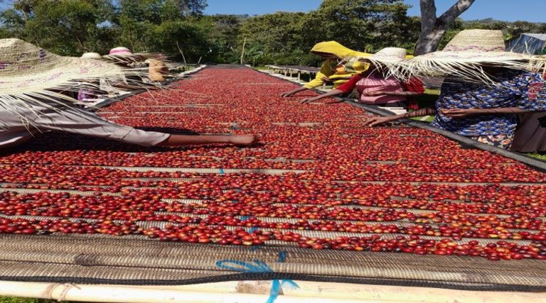 شافي عمر  يتحدث لـ