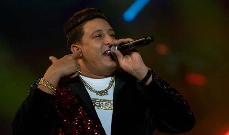 الفنان المصري هاني شاكر