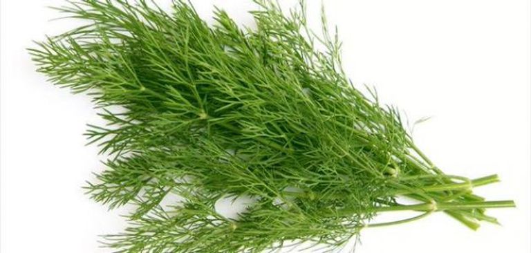 البقدونس يحفز بعض وظائف جهاز المناعة