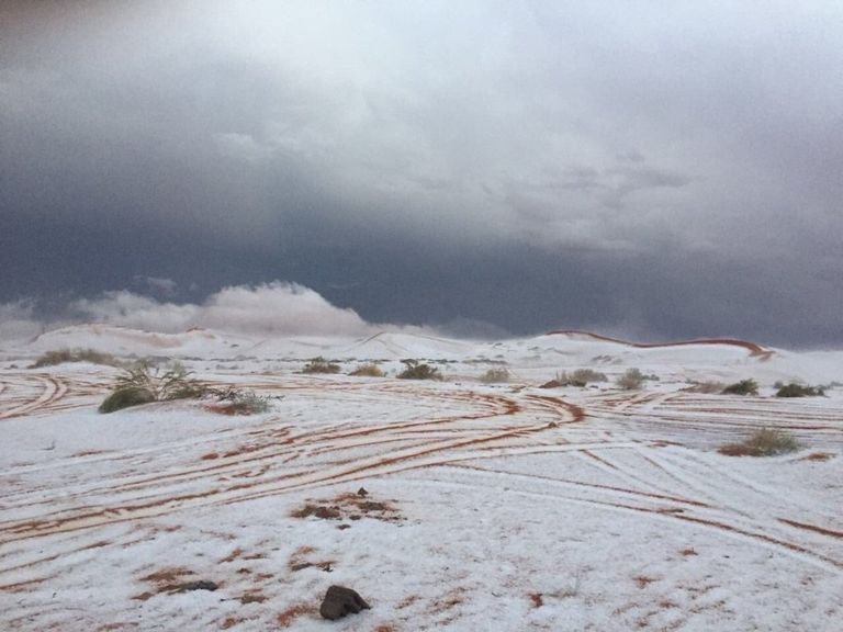 موجة الصقيع في اليمن