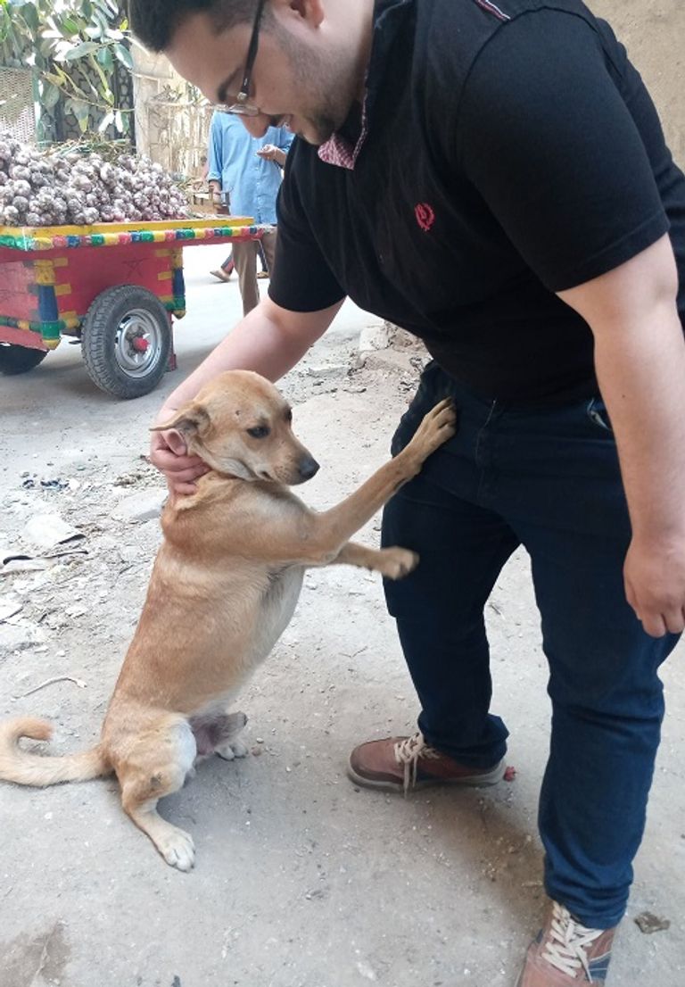 حسن ياسر وزوجته هدى بطلا مهمة إنقاذ الكلبة المسمومة 