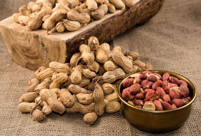 إدراج الفول في نظام الأطفال الغذائي باكراً يساعد على تجنب الحساسية