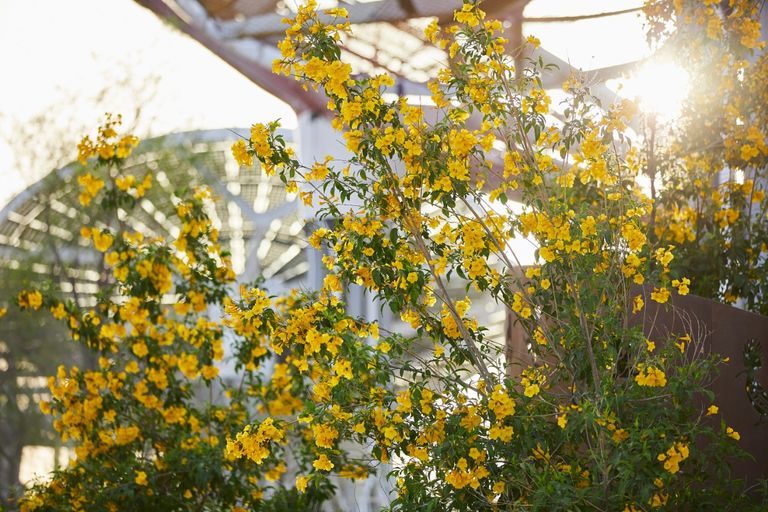 مسيرة التغيير إلى أهداف التنمية المستدامة