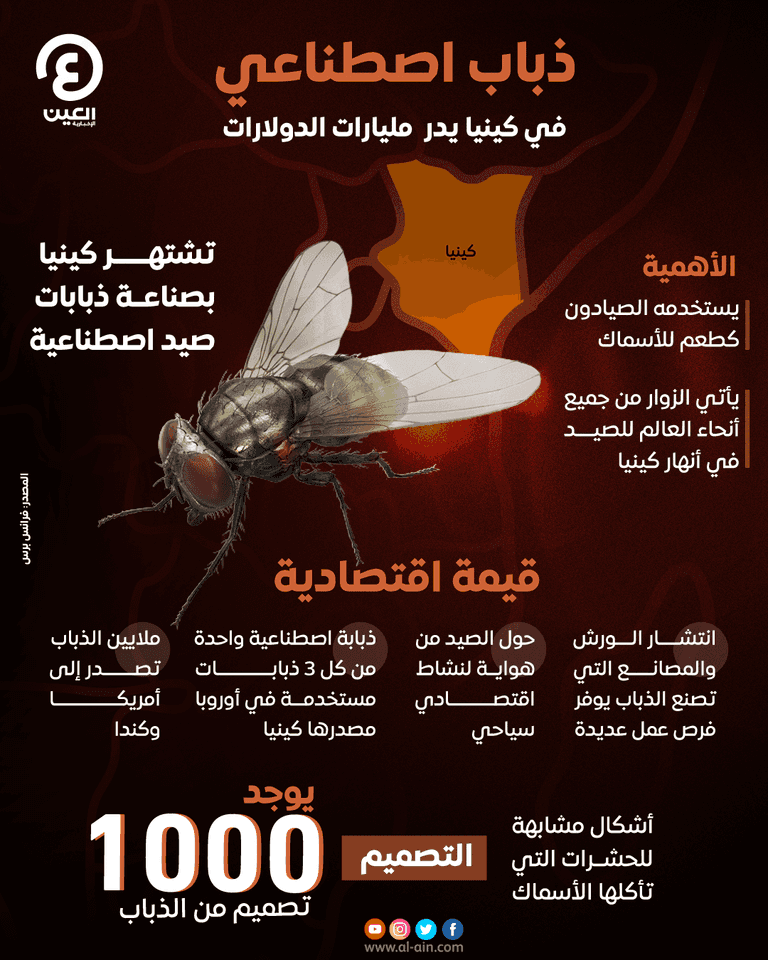 ذبابة اصطناعية في كينيا تدر مليارات الدولارات ذبابة اصطناعية في كينيا تدر مليارات الدولارات