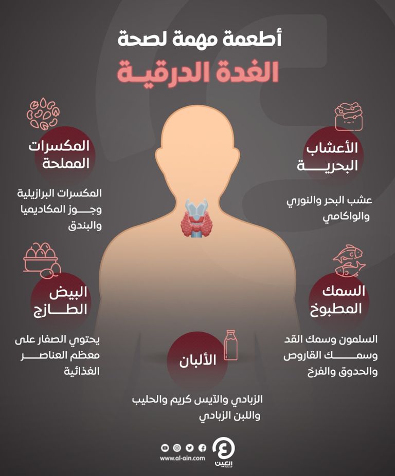 إنفوجراف.. أطعمة مهمة لصحة الغدة الدرقية