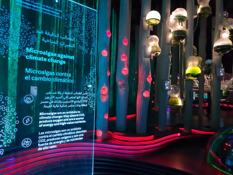 الجناح الإسباني في إكسبو 2020 دبي الجناح الإسباني في إكسبو 2020 دبي