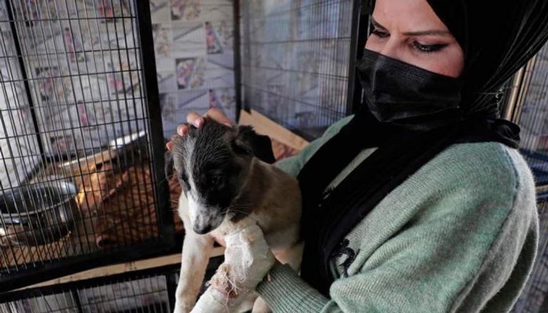 إحدى اعضاء فريق إنقاذ الحيوانات في بغداد