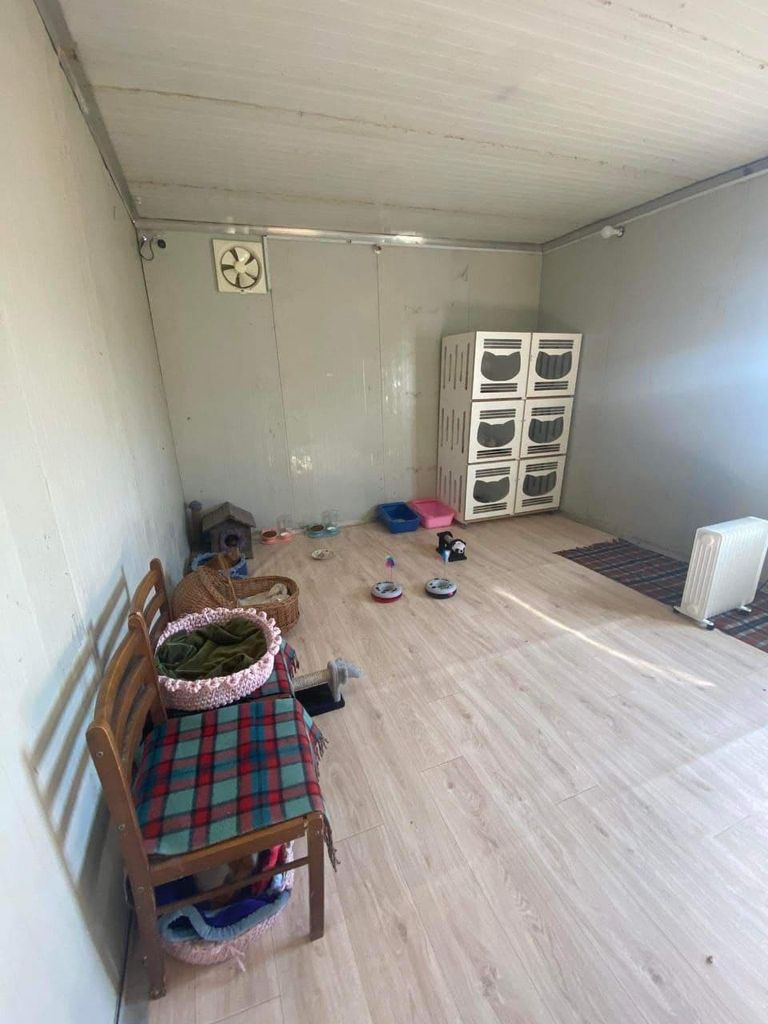 إحدى عضوات فريق إنقاذ الحيوانات في بغداد