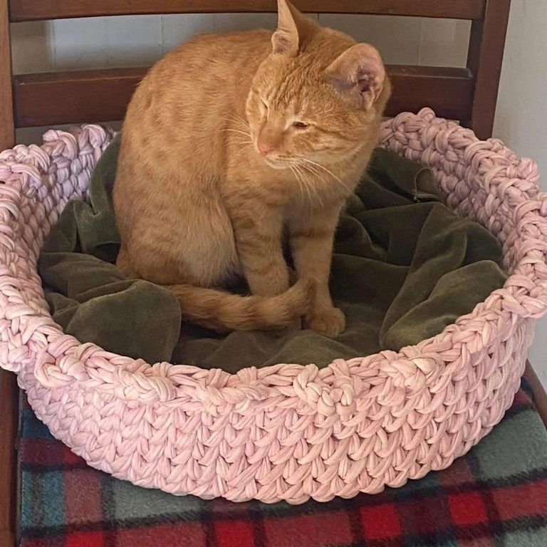 إحدى عضوات فريق إنقاذ الحيوانات في بغداد