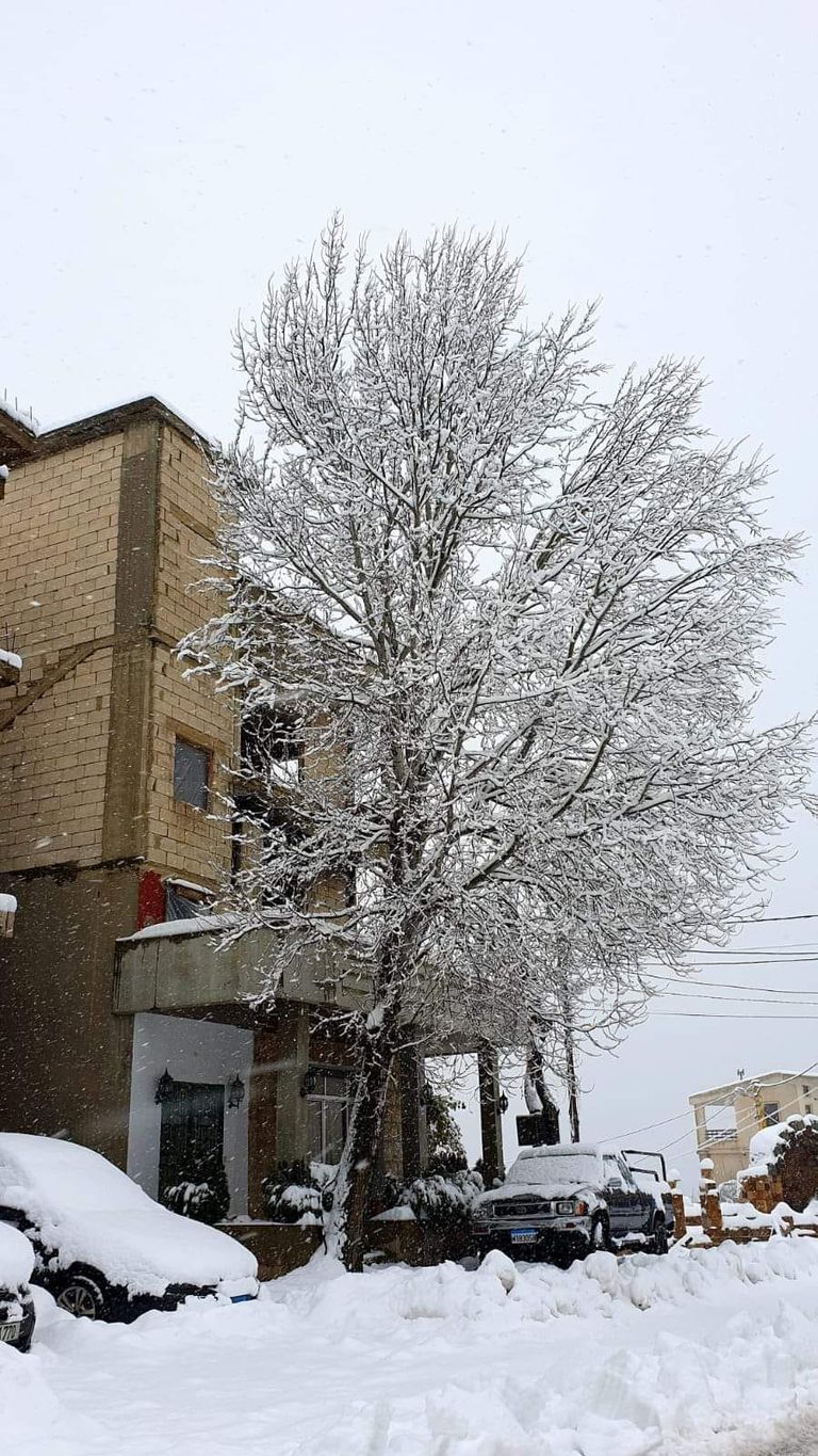 عاصفة ثلجية في لبنان
