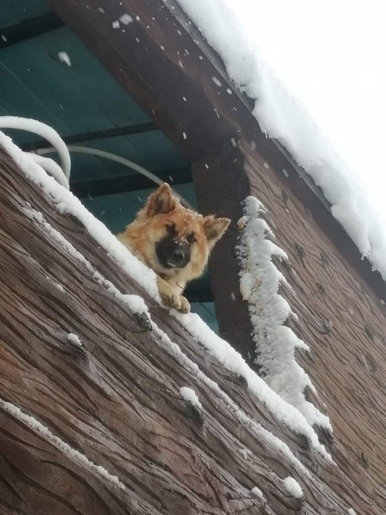 عاصفة ثلجية في لبنان