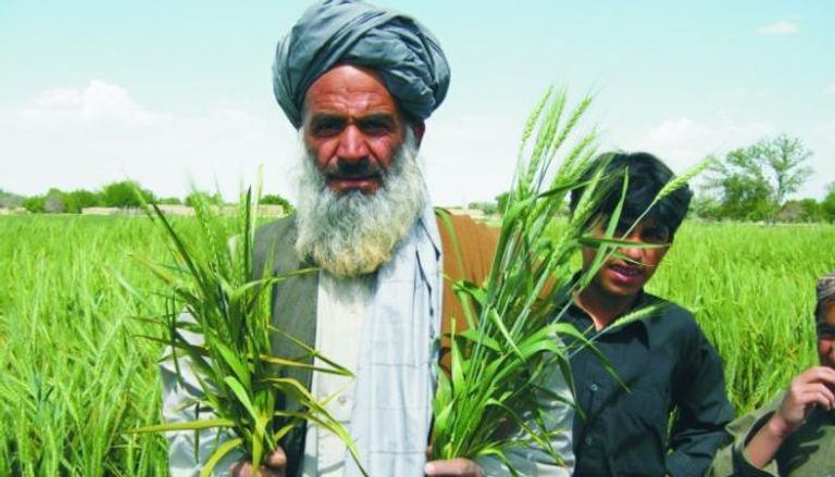 العصر الرقمي يكتب قصة تحول القطاع الزراعي في باكستان.. 
