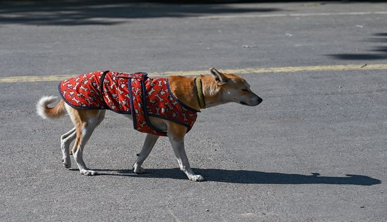 أحد المشردين في مركز إيواء