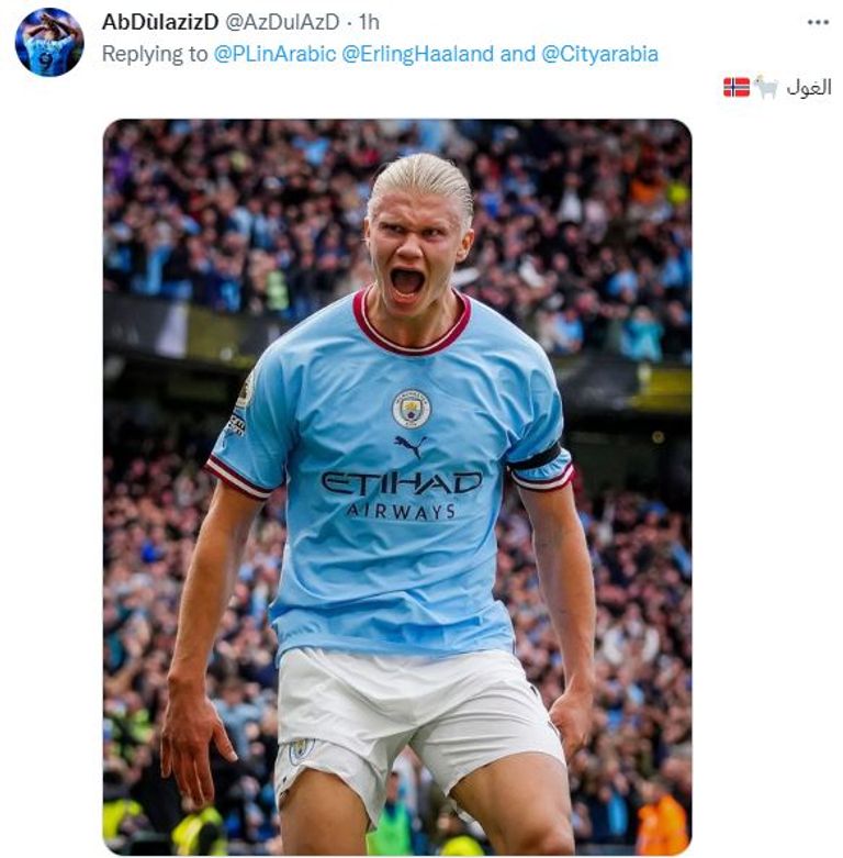 إيرلينج هالاند نجم مانشستر سيتي