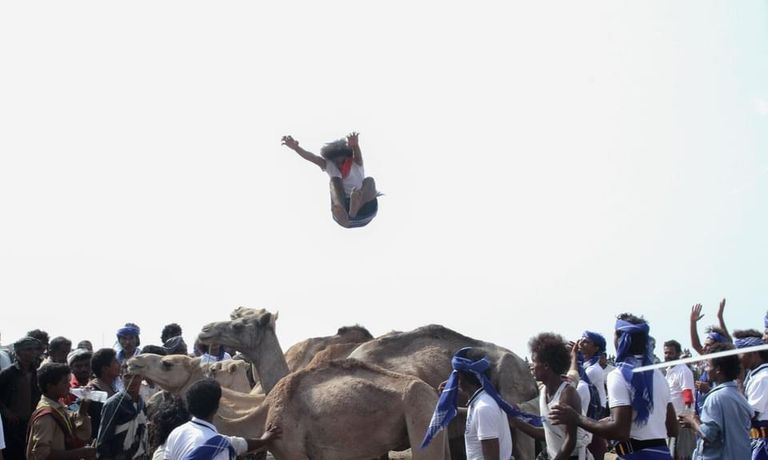 لعبة القفز على الجمال في اليمن