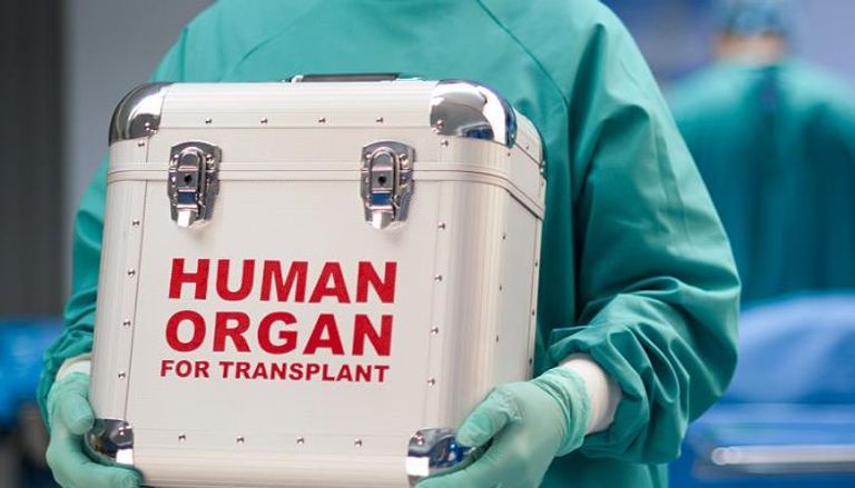 مصر تطمح للتحول لمركز إقليمي لزراعة الأعضاء- أرشيفية