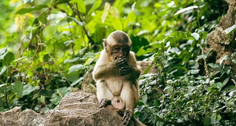 عاملون صحيون يدفنون مريضاً توفي بالإيبولا - أرشيفية