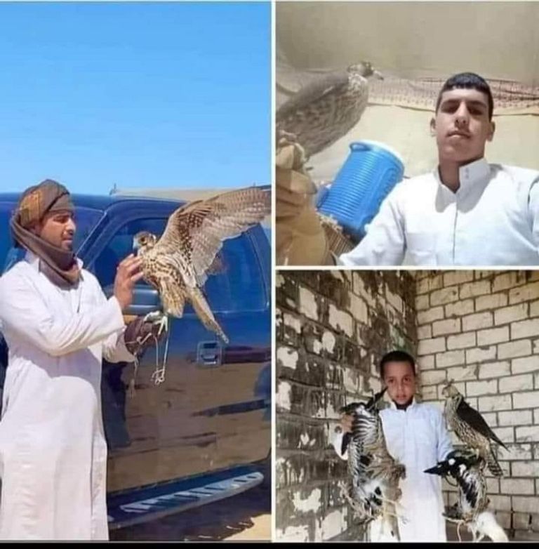 صورة نشرتها بعض صفحات التواصل الاجتماعي للضحايا- من الإنترنت