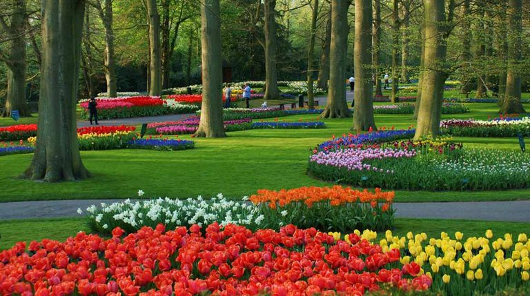 حدائق كيوكينهوف أحد أماكن السياحة في أمستردام السياحة في أمستردام… 5 مزارات سياحية في أوروبية رائعة