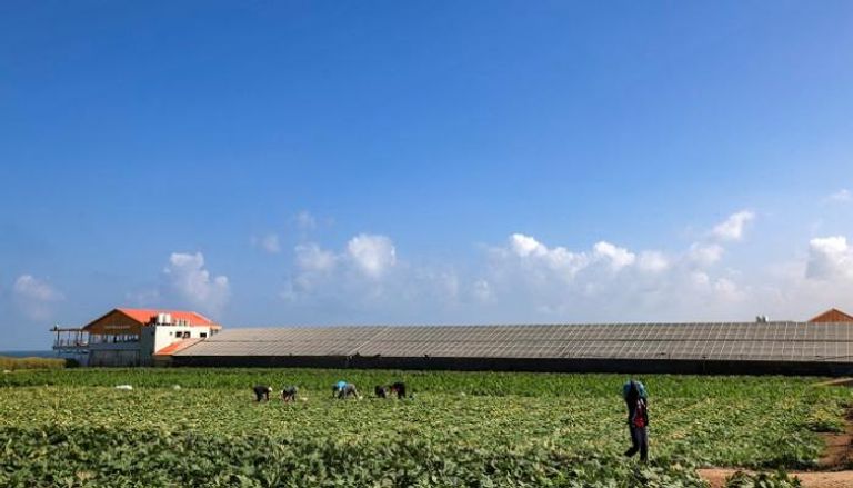 مزرعة في غزة تعتمد على الطاقة الشمسية