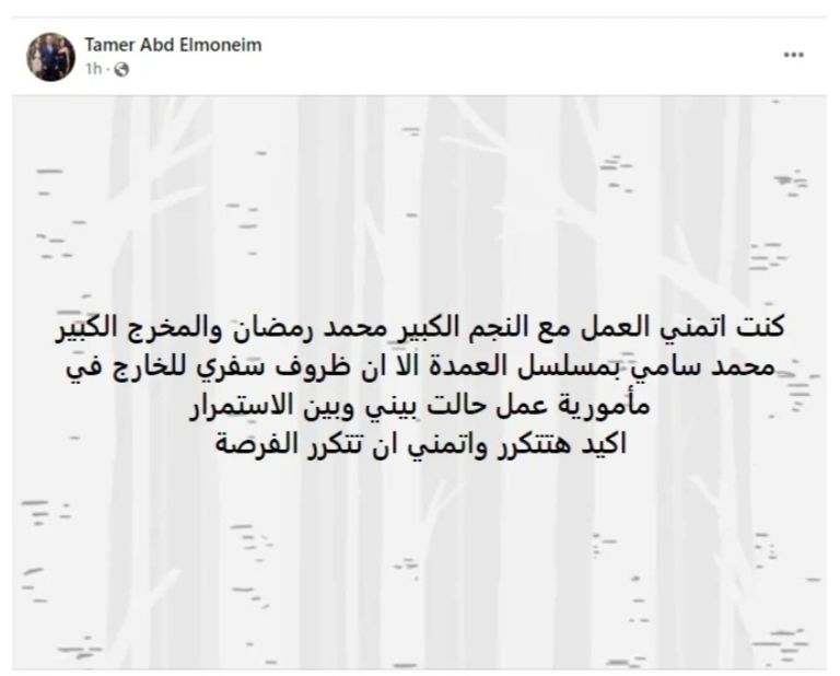 تامر عبدالمنعم - أرشيفية