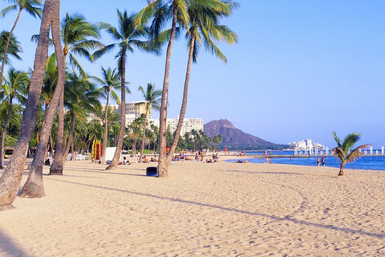 شاطئ Waikiki Beach  شاطئ Nha Trang Beach