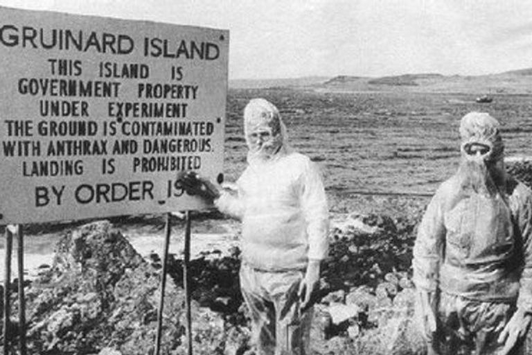 جزيرة قناع الغاز