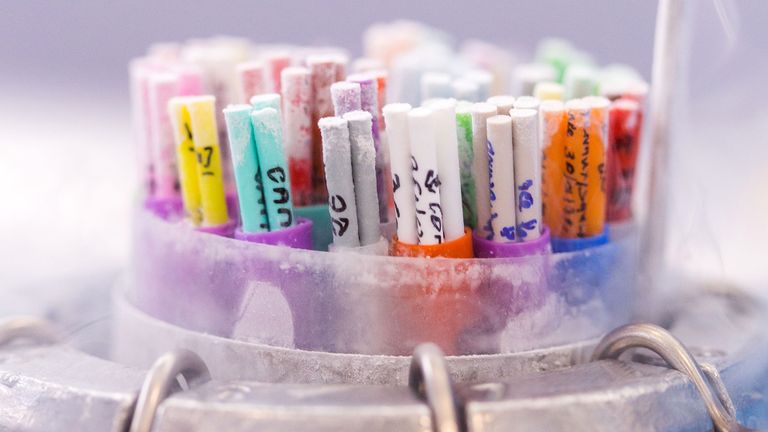 تلقيح صناعي - أرشيفية