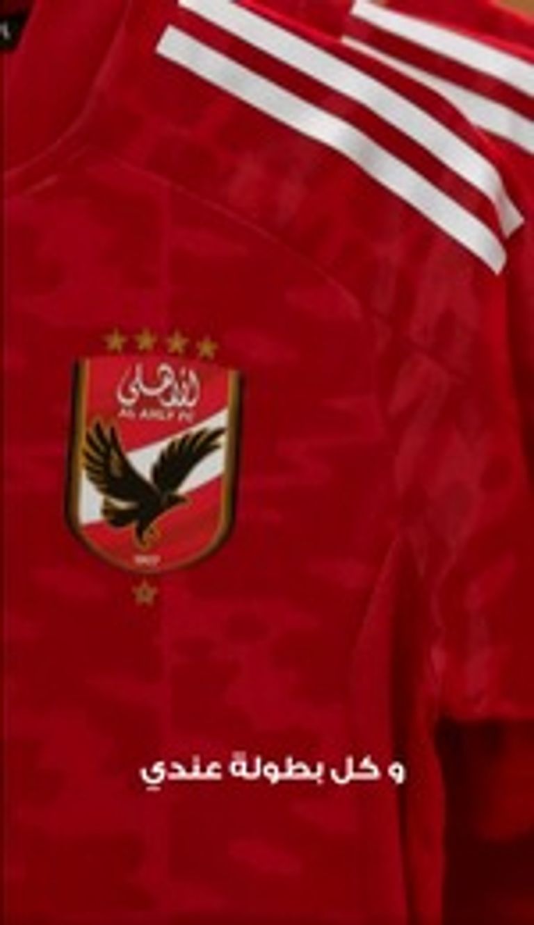 فريق الأهلي المصري